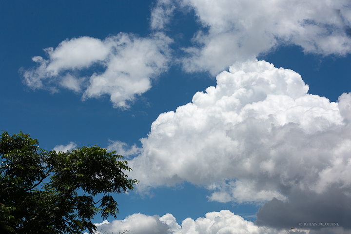 Cumulus clouds