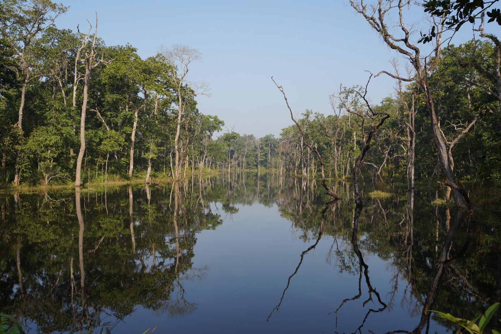 Chitwan Jungle Safari Tour