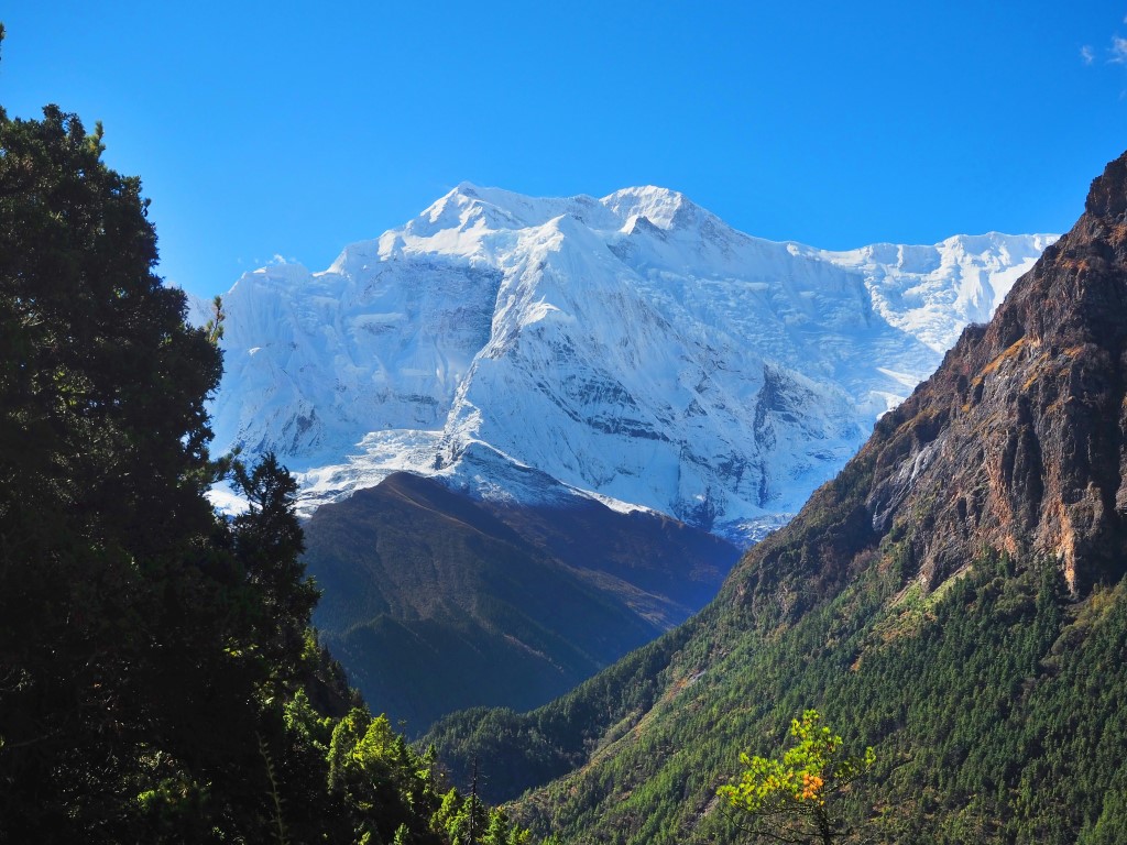 Best Time to Trek in Nepal: The 6 Seasons Explained (2026)