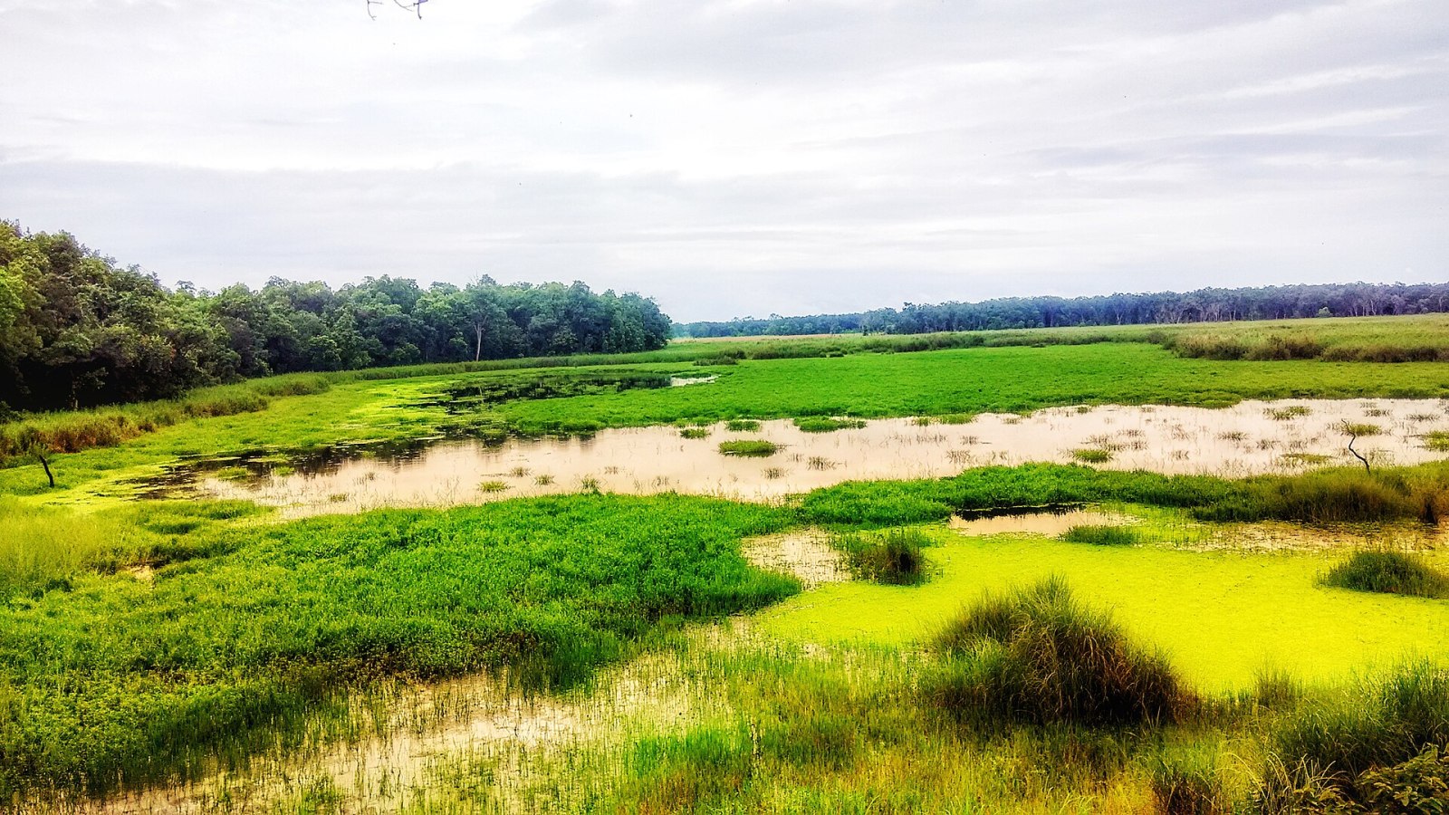 Rani Tal lake in Shuklaphanta National Park