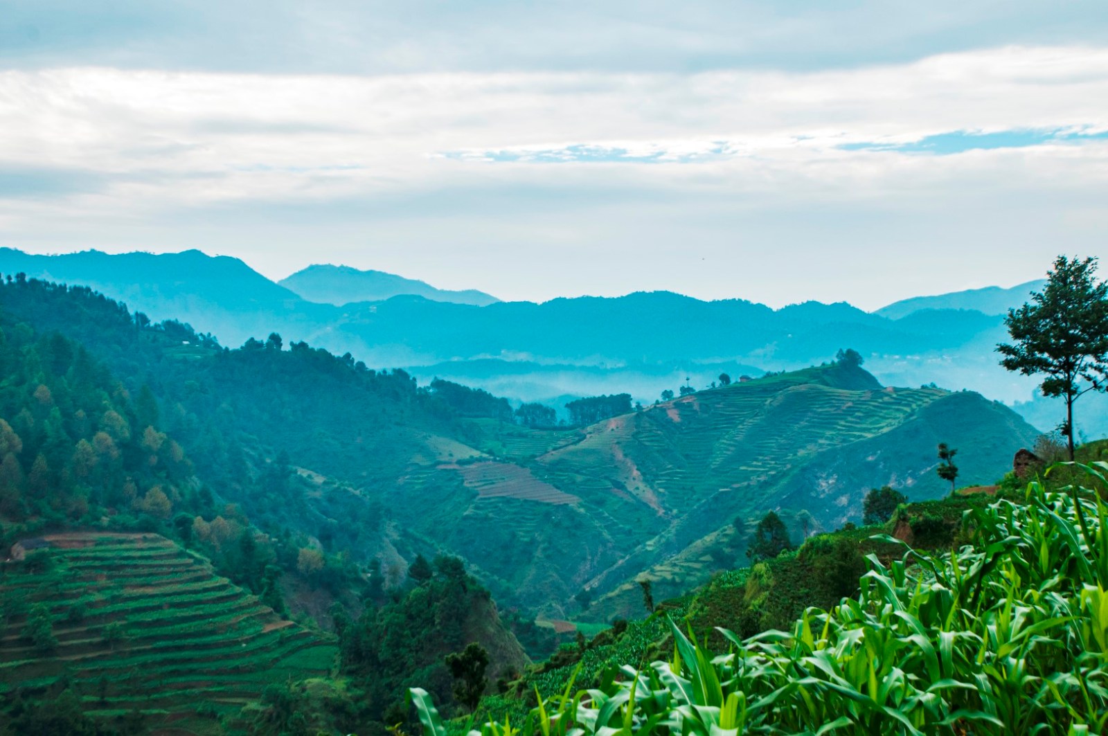 Tamang Heritage trail walk